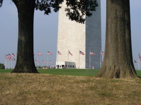  Washington  