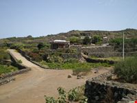 pantelleria, i dammusi