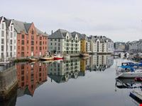riflessi