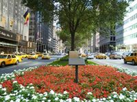 Park Avenue al Waldorf Astoria