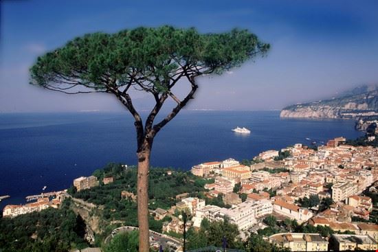  Sorrento  