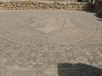 Gli scavi romani di Volubilis