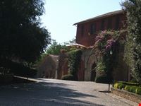 glicine, archi e casali di Fossanova