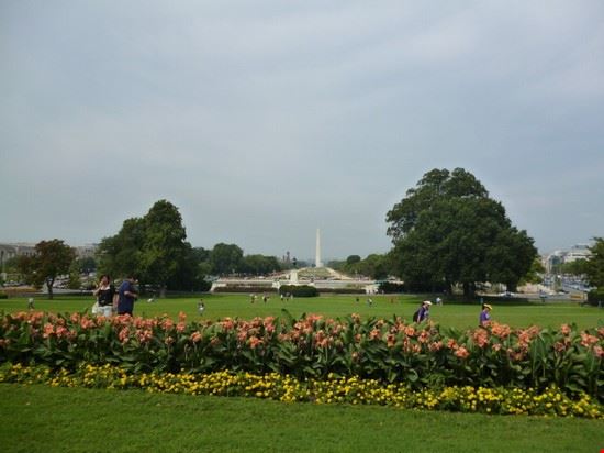  Washington  