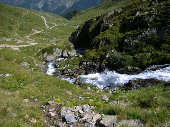 Alp suvretta