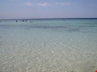 Torre Lapillo