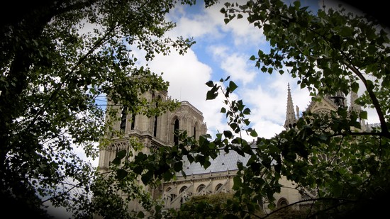 Romantica Notre Dame