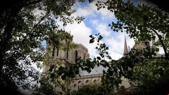 Notre Dame Paris  