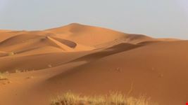 deserto