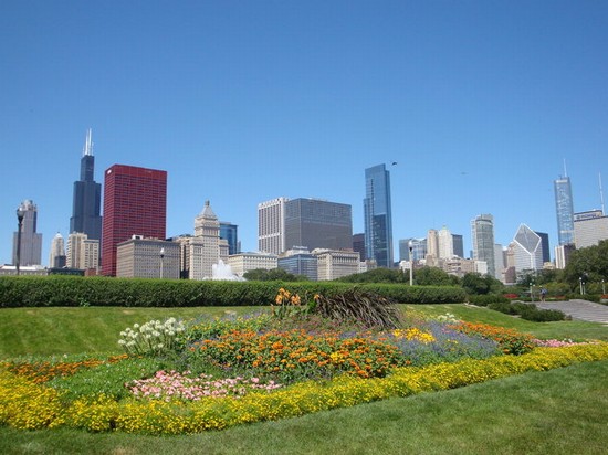 Bellissima Chicago