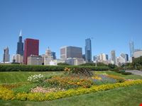 Bellissima Chicago
