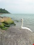 la spiaggia