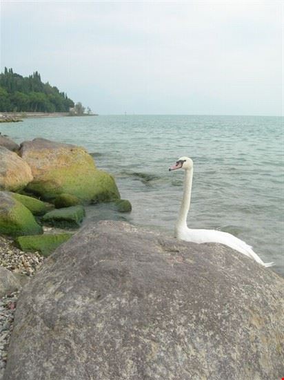 Le spiagge di Sirmione: Viale Gennari e Lido delle Bionde Sirmione  
