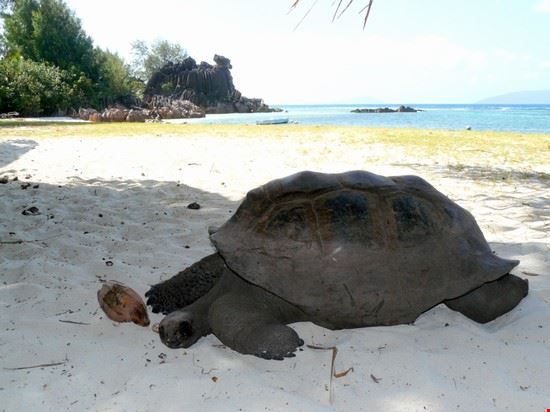  Praslin  
