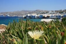 Splendidi colori di Mikonos