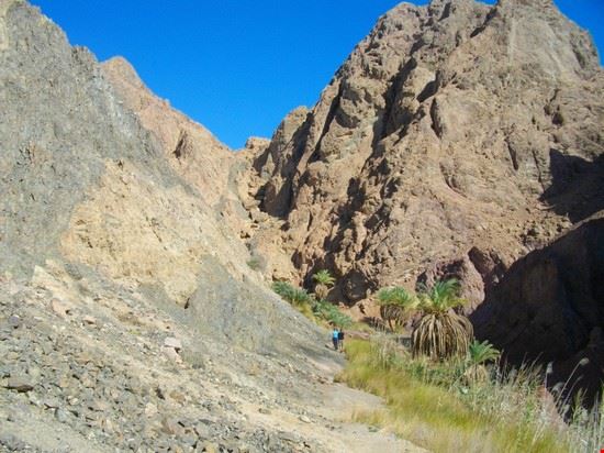  Sharm El Sheikh  