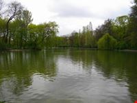 Isolotto nell'Englischer Garten