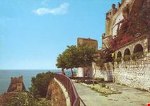 Fiori e mare