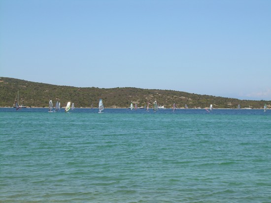 Barche a vela