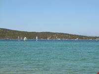 Barche a vela