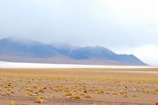 L'inizio del deserto di sale