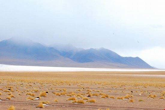  La Paz  