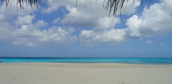 Foto Spiaggia E Mare A Aruba 550x270 Autore