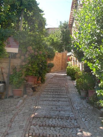 i vigneti degli orti urbani