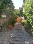 i vigneti degli orti urbani