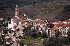 Civezza