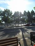 Barceloneta