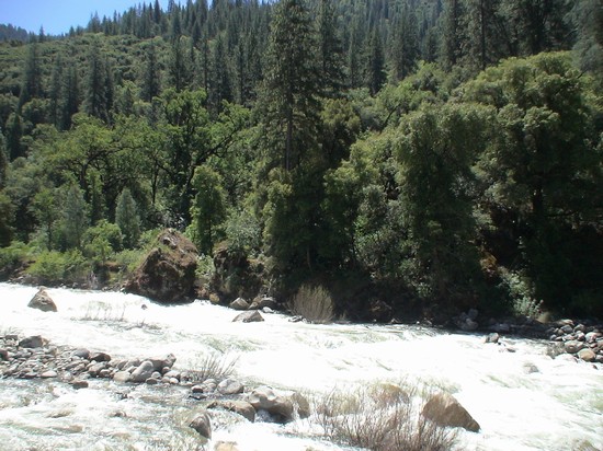 Yosemite National Park