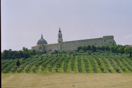 Marche