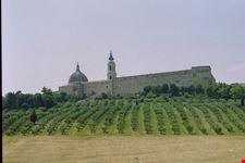 Marche