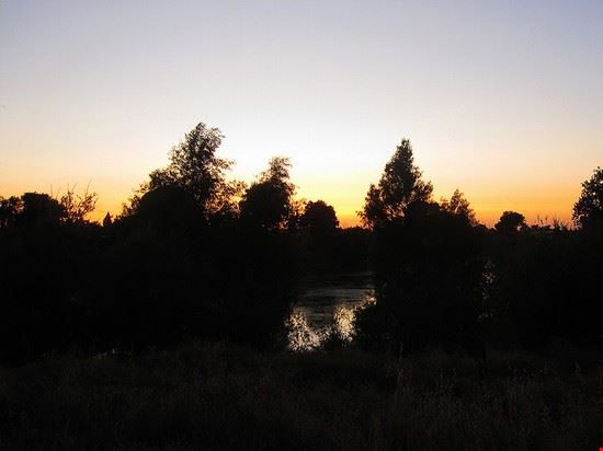  Sacramento Grant P - Creative Commons Grant P