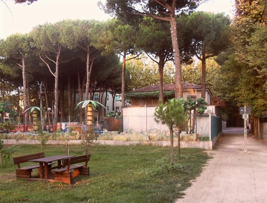 Pineta