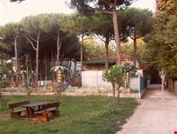 Pineta