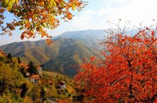Paesaggio autunnale