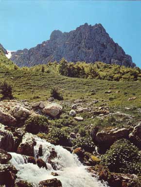 Sorgenti dell'Ussita, Val di Panico