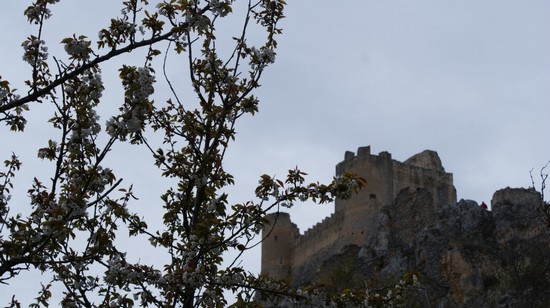 la rocca a primavera