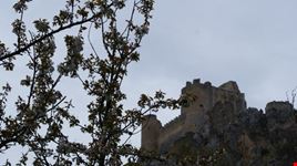 la rocca a primavera
