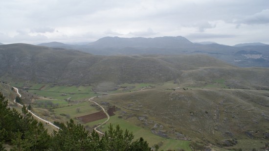 monti