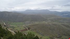 monti