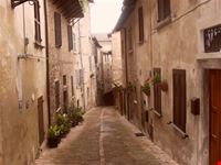 Urbino