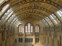 La hall del Natural History Museum a Londra