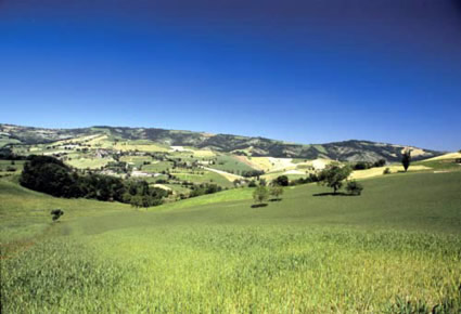 San Giovanni di Querciola