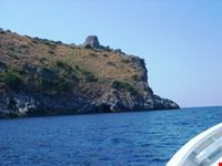 Mare