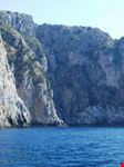 mare