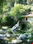Nel verde..
