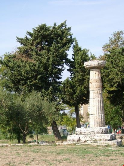  lungo la via sacra dell'antica città di Paestum  